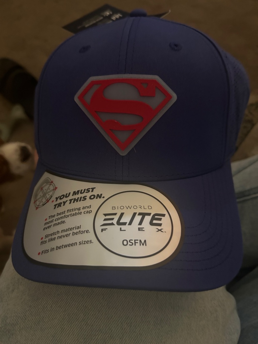 Bioworld Blue Cap with Red Superman Emblem